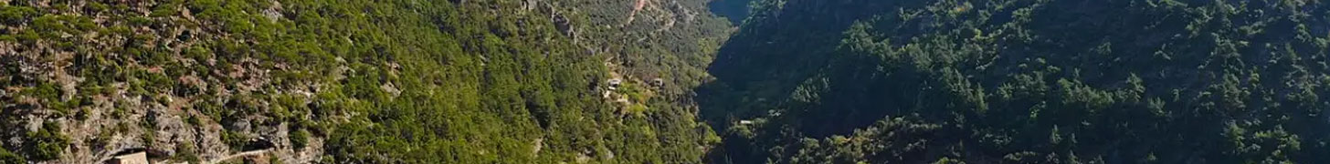 Beqaa Times